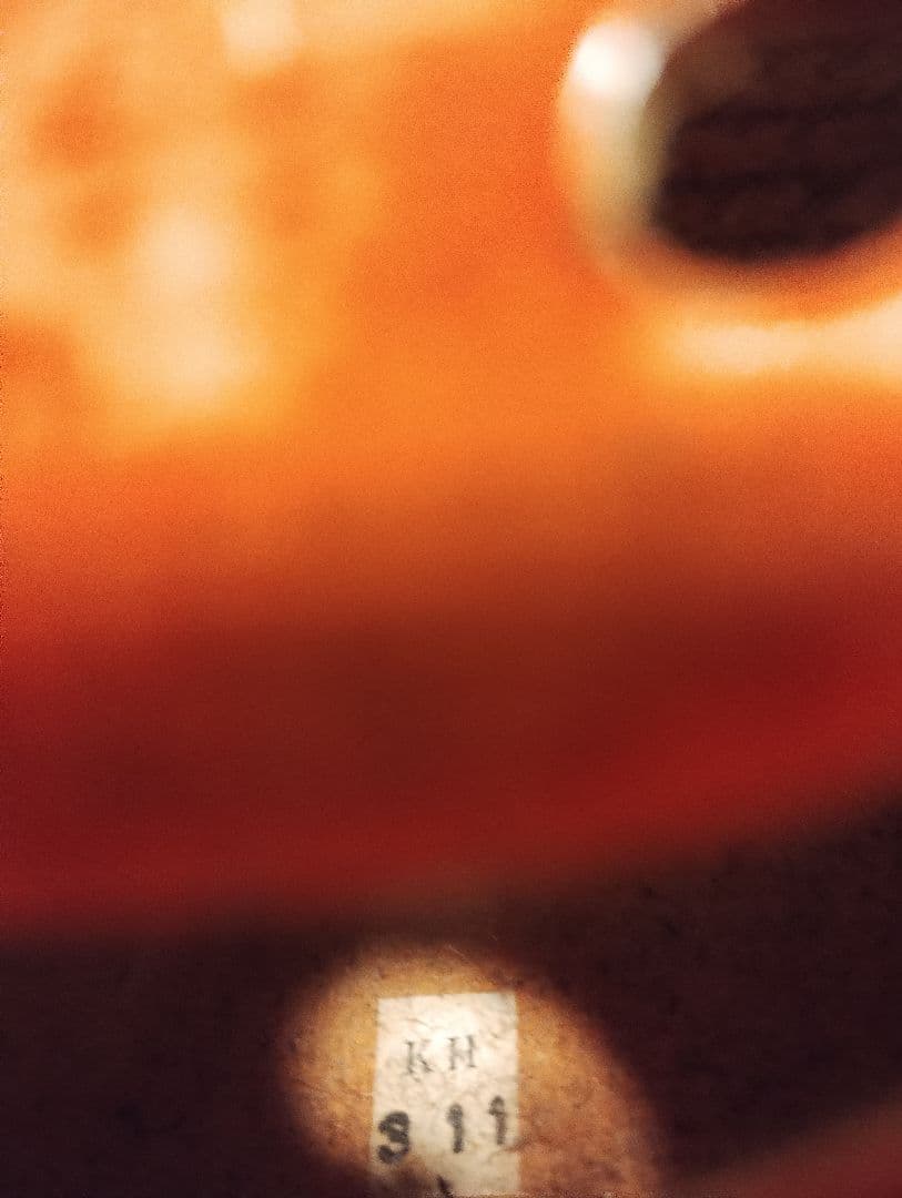 カール・ヘフナー　ヴィオラ 本体 ＋いろいろセット