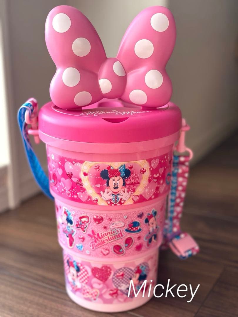 ミニーのファンダーランド　パルパルーザ　ポップコーンバケット　ミニパル