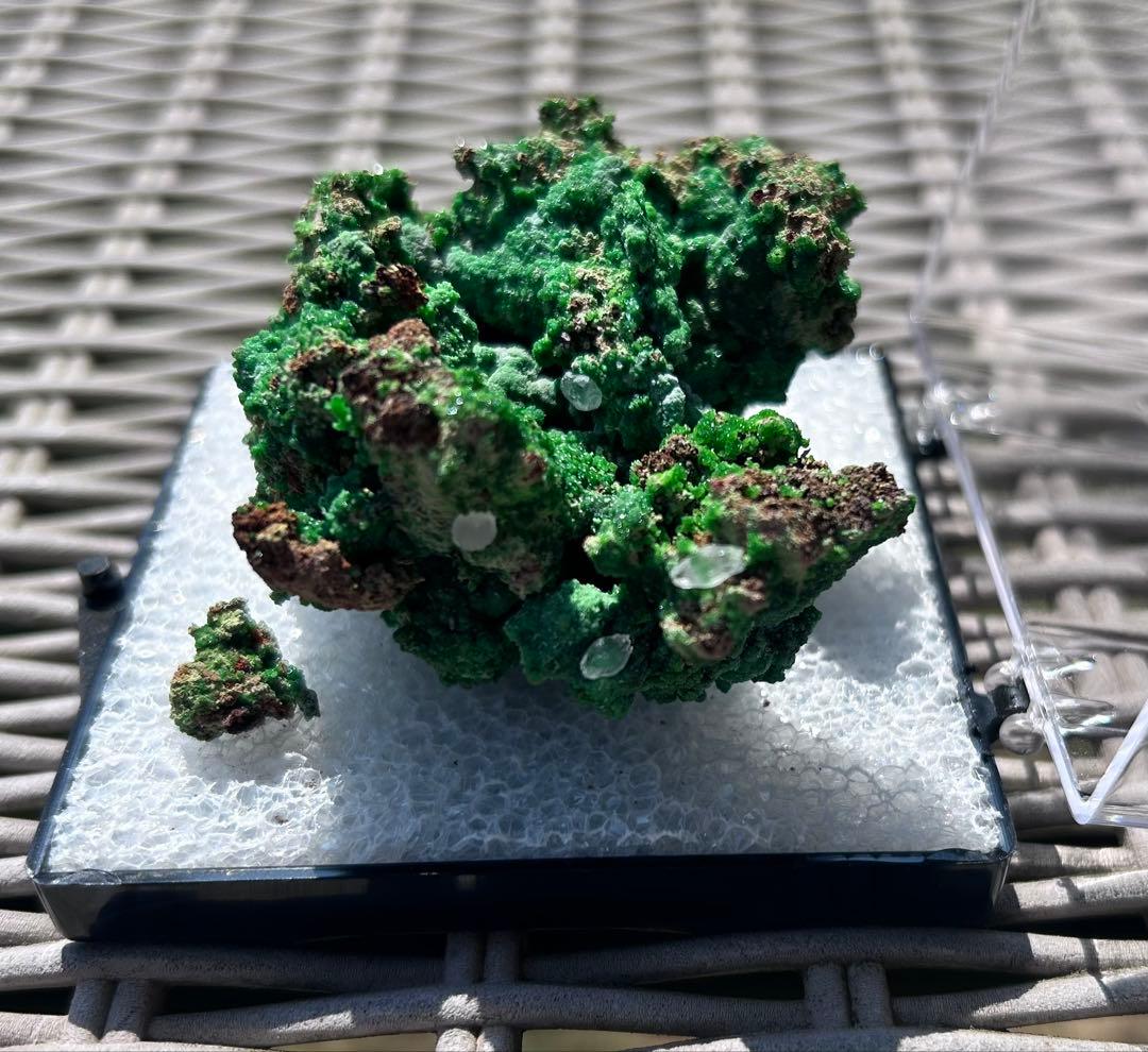 Conichalcite コニカルコ石 鉱物標本