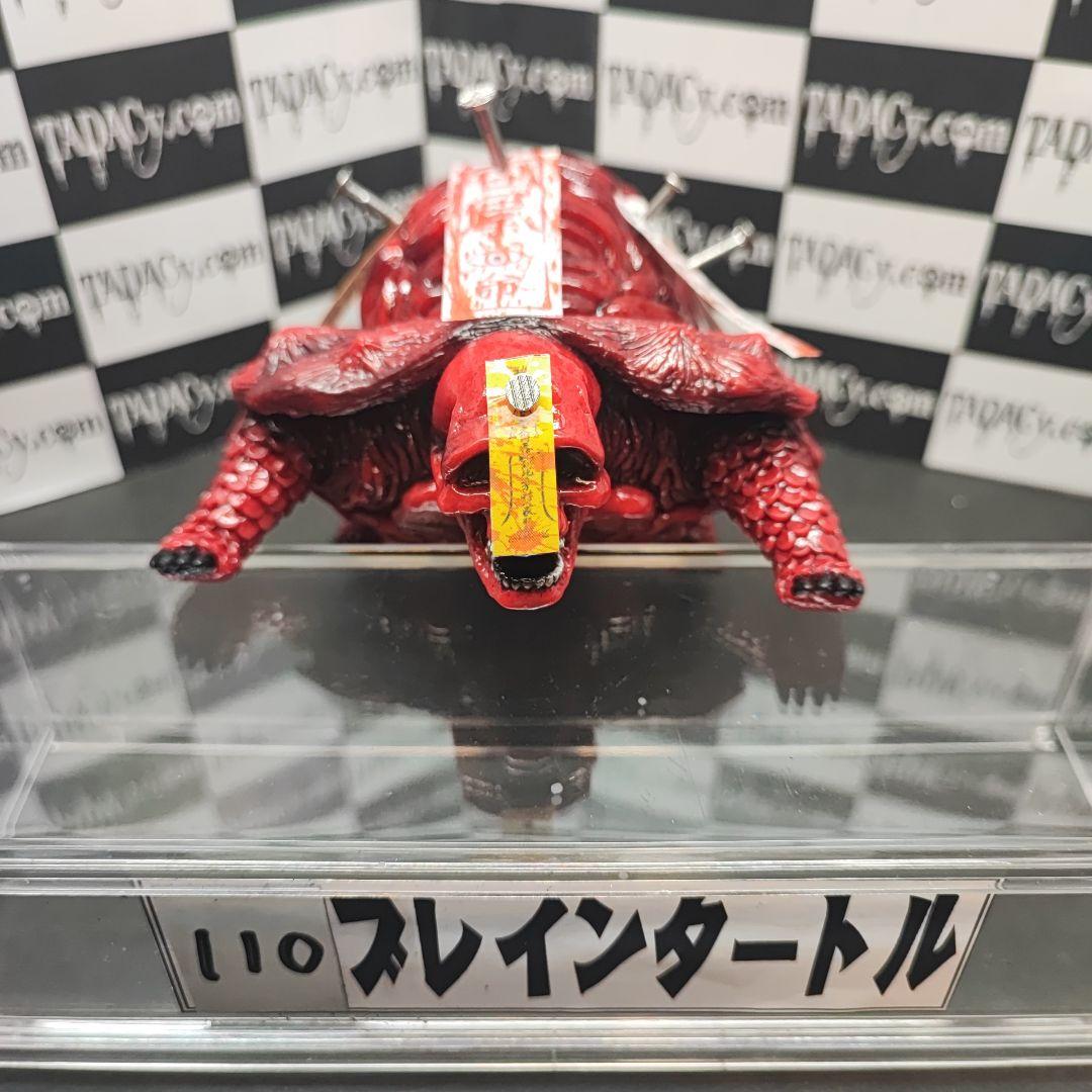 110ブレインタートル