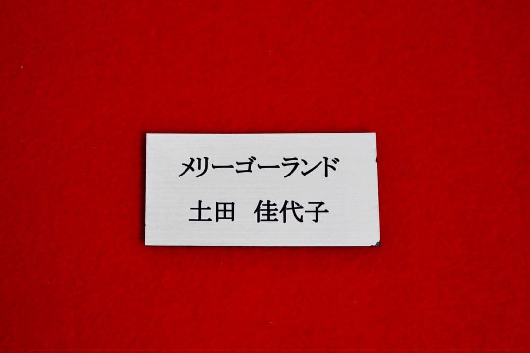 花乙女コレクション【土田佳代子　メリーゴーランド】購入金額より60％お値引き！！