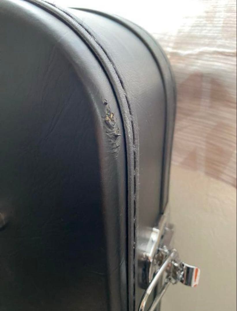 ギター Epiphone Shinichi Ubukata ES-355