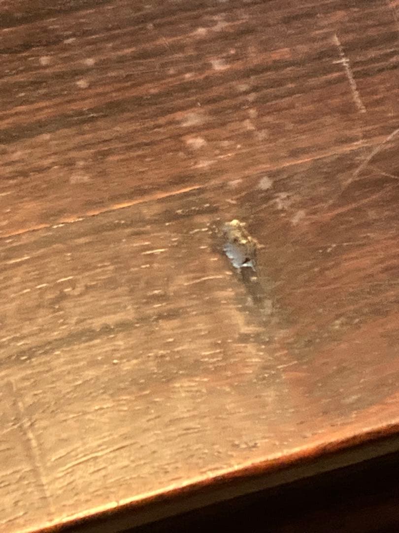 アンティーク家具・紫檀 唐木 ローテーブル