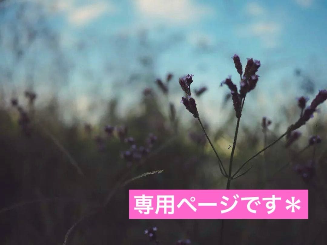 桃色の雲ページです＊