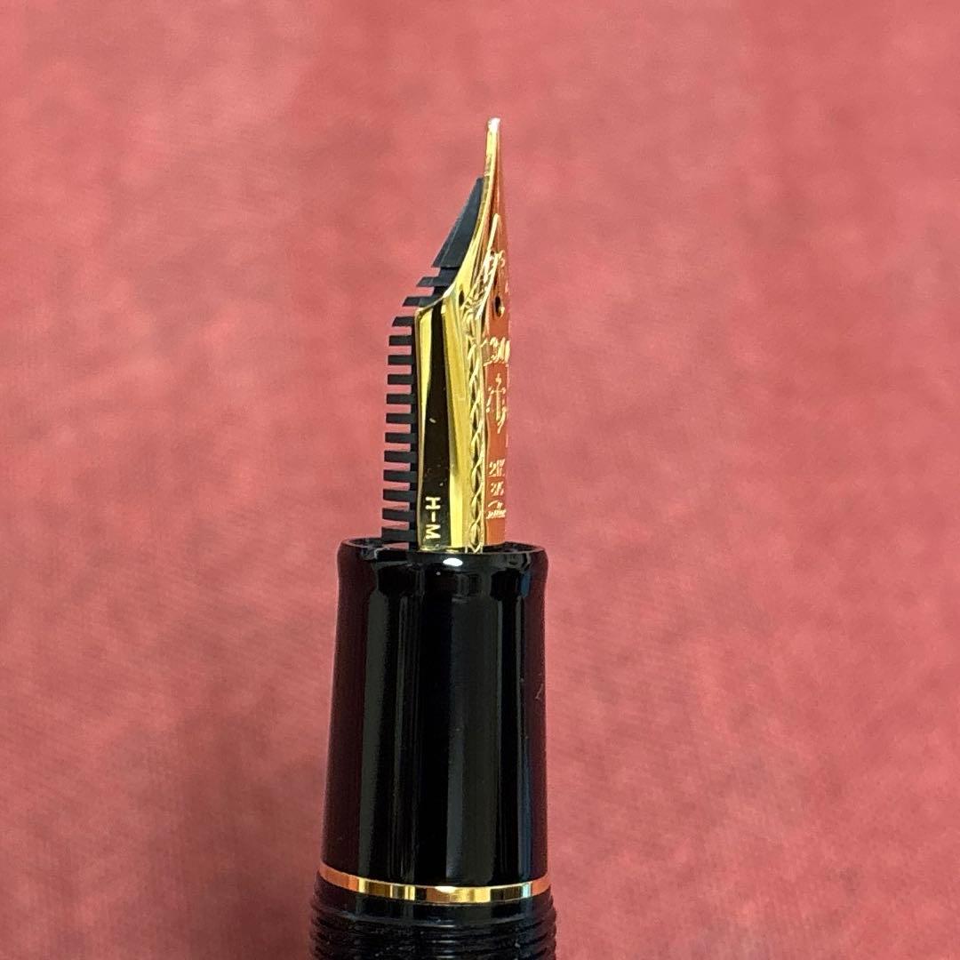 SAILOR プロフィット21 万年筆M(中字)