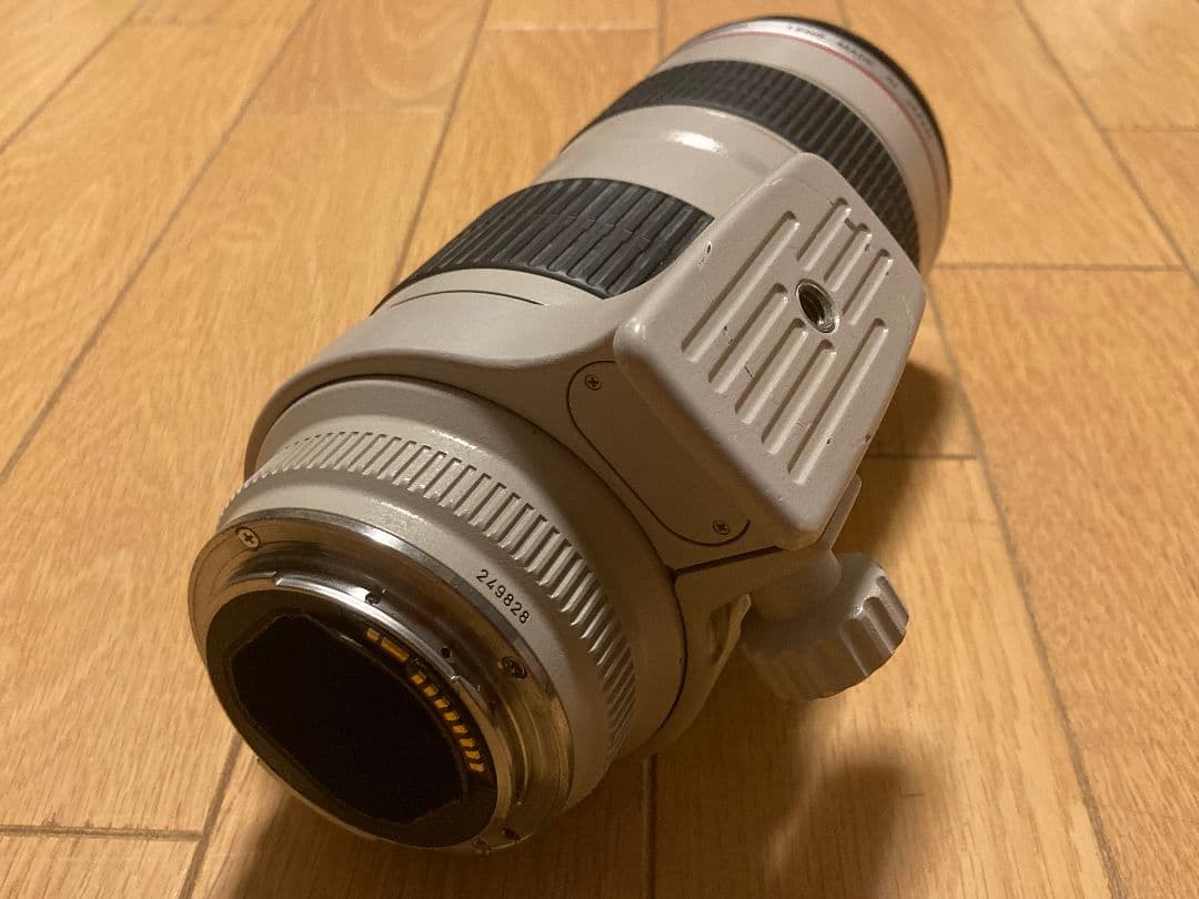 レンズ(ズーム) Canon EF 70-200mm F2.8L USM