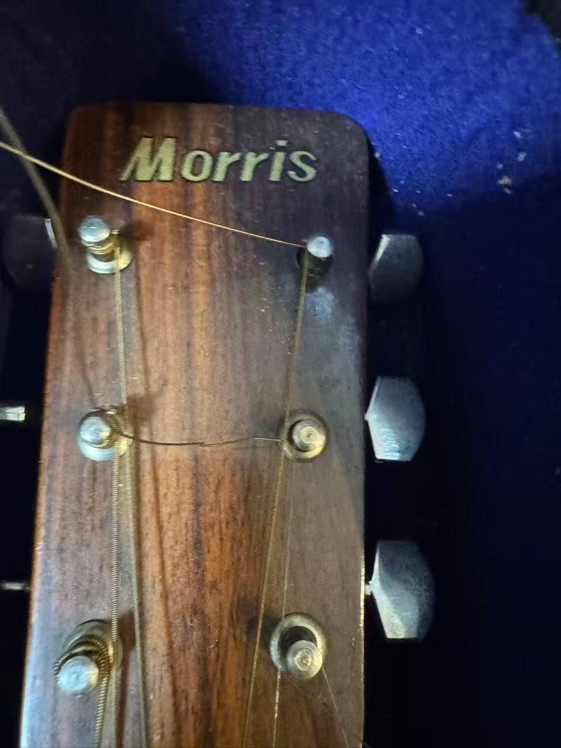 モーリス　MD-506 アコギ　Morris