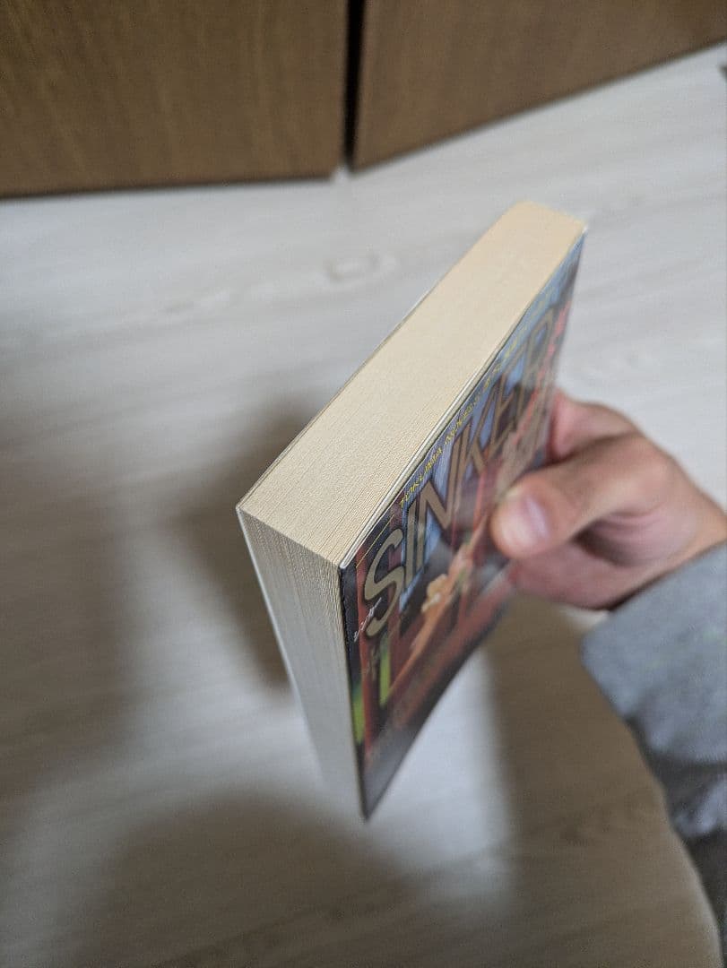 絶版 sinker 沈むもの 平山夢明 シンカー 希少 ホラー小説