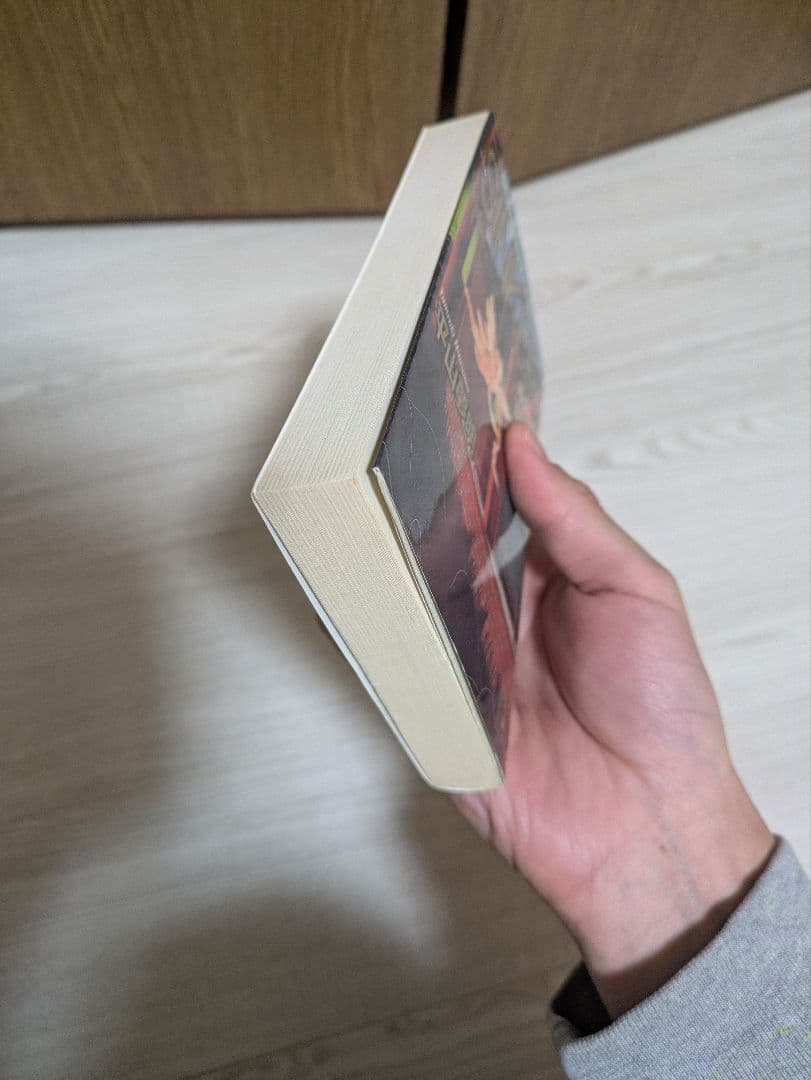 絶版 sinker 沈むもの 平山夢明 シンカー 希少 ホラー小説