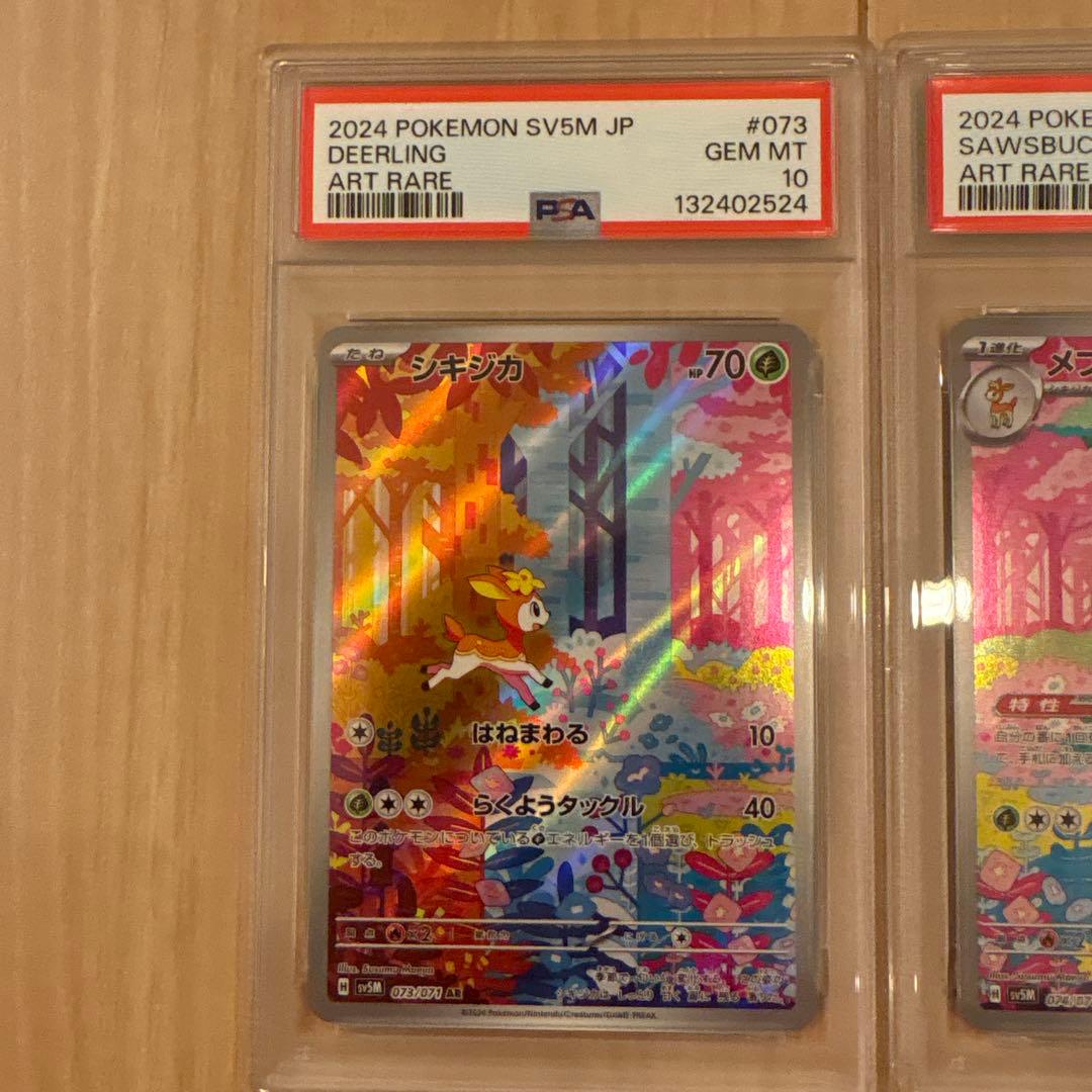 シキジカ　メブキジカ　AR PSA10 連番