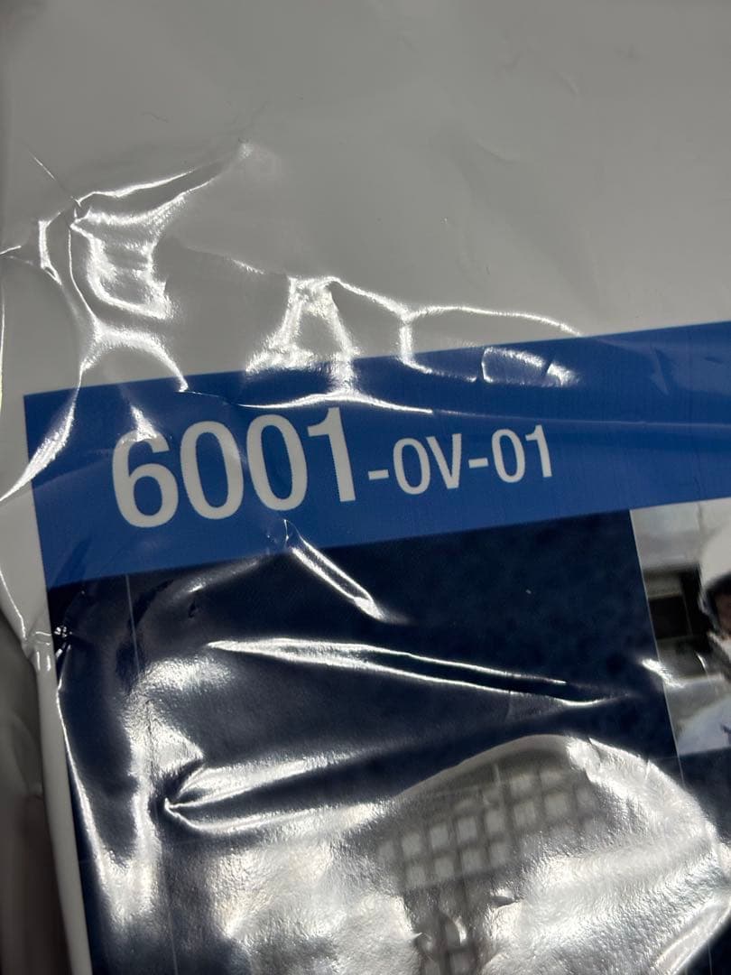 防毒マスク 3M 6000面体と6001フィルターセット
