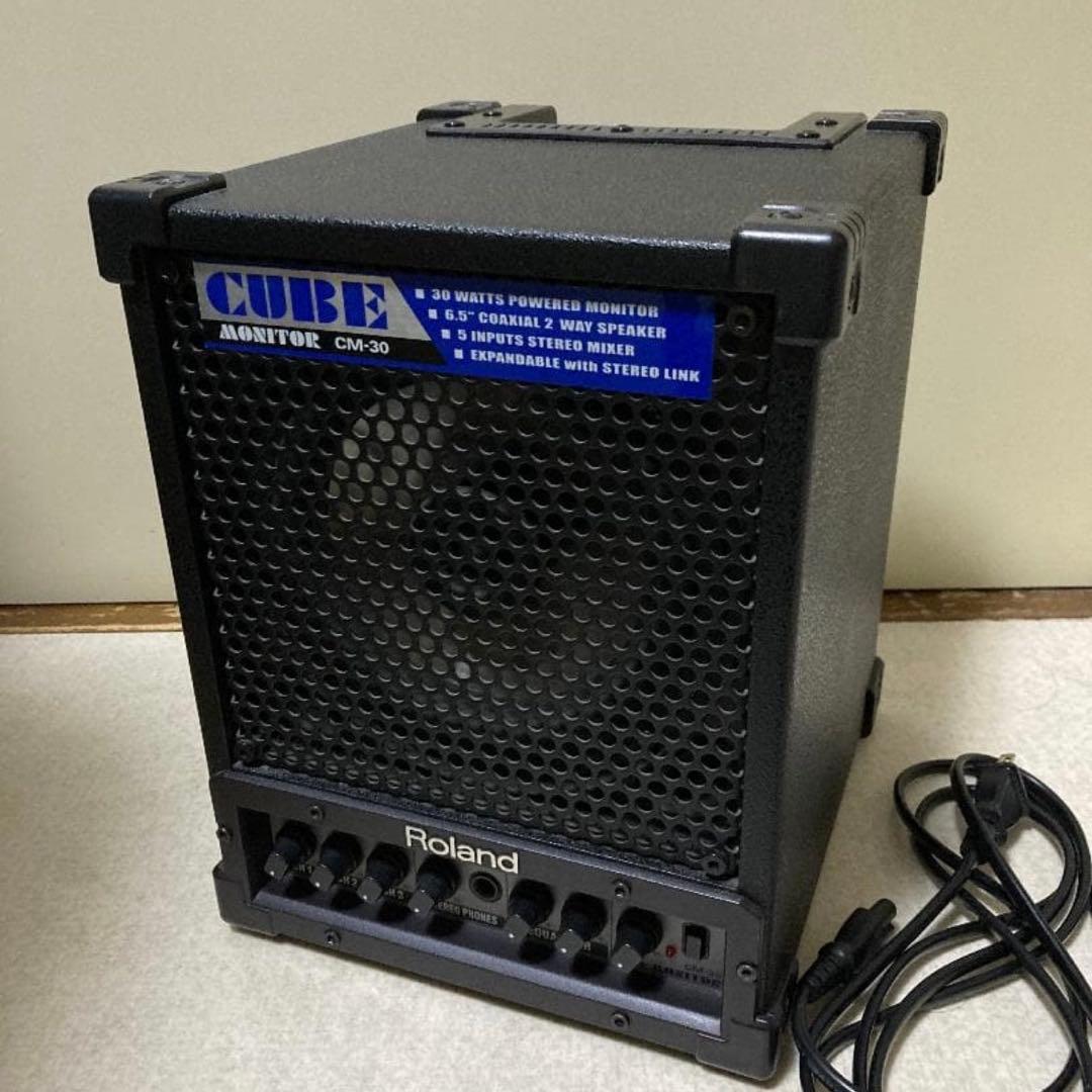 Roland CM-30 CUBE MONITOR モニター スピーカー アンプ