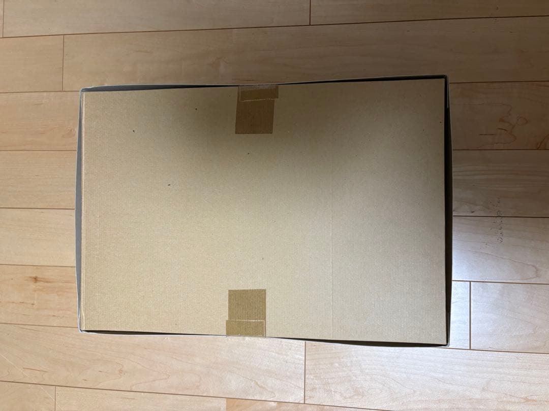 タミヤ1/10ラジコンキット　ブリッツァービートル