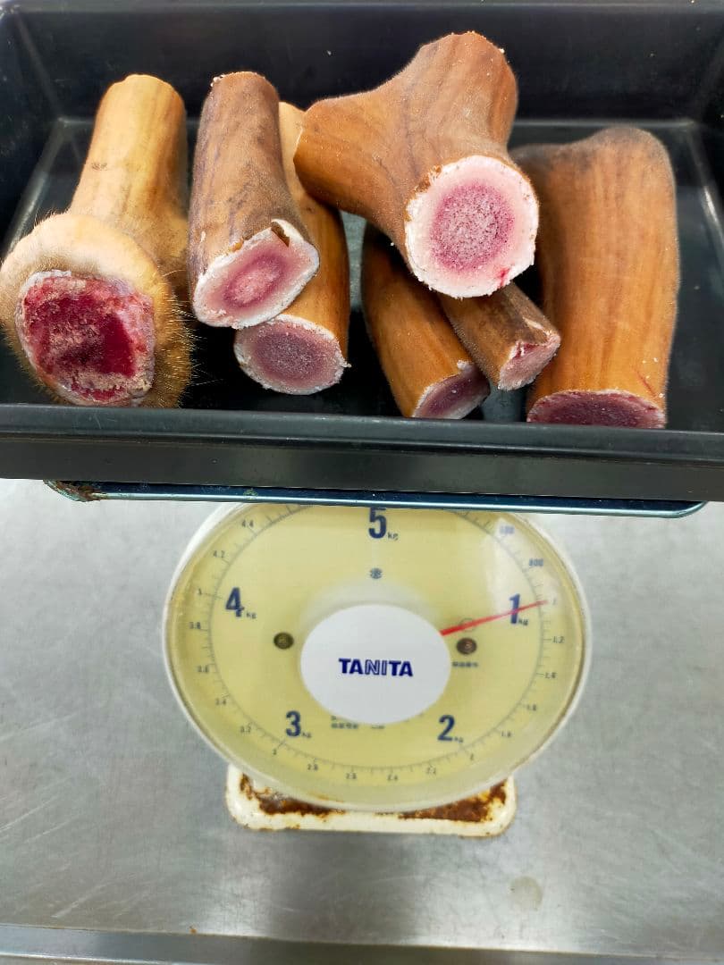 蝦夷鹿　袋角　鹿茸　1000g