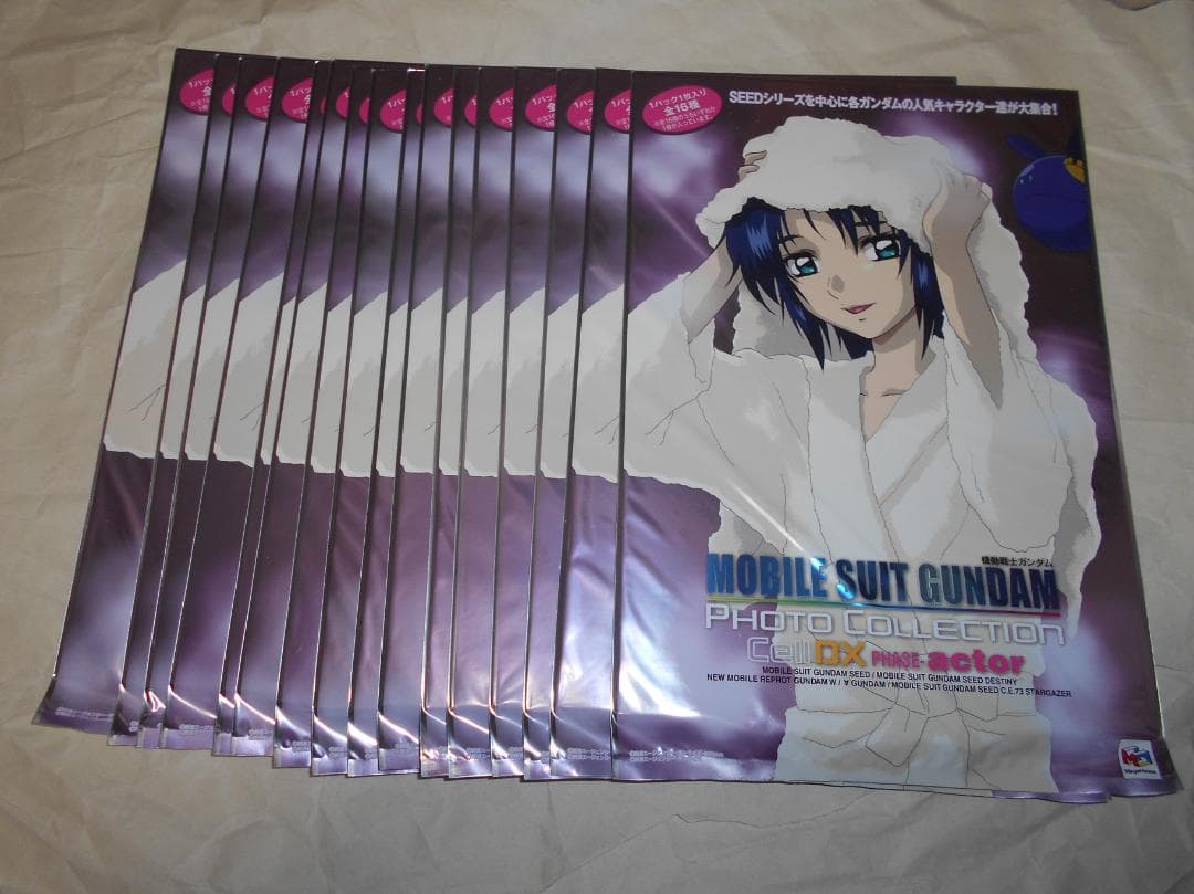 ガンダム フォトコレクション CellDX PHASE-actor　16ｐ　箱付