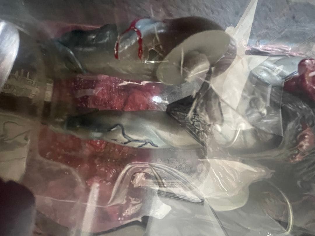 【希少・ネメシスパーツ付】バイオハザード Vol.16 タイラント(T-002)