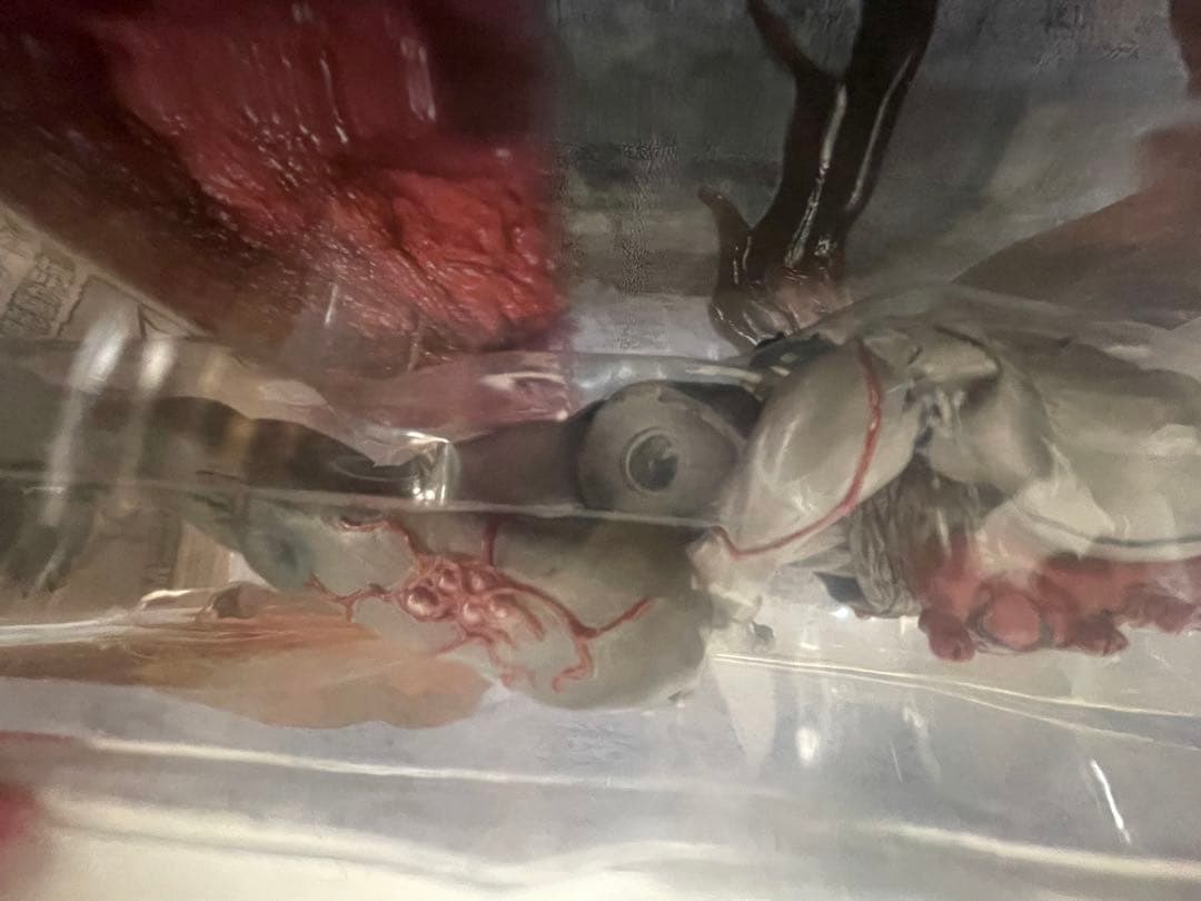 【希少・ネメシスパーツ付】バイオハザード Vol.16 タイラント(T-002)