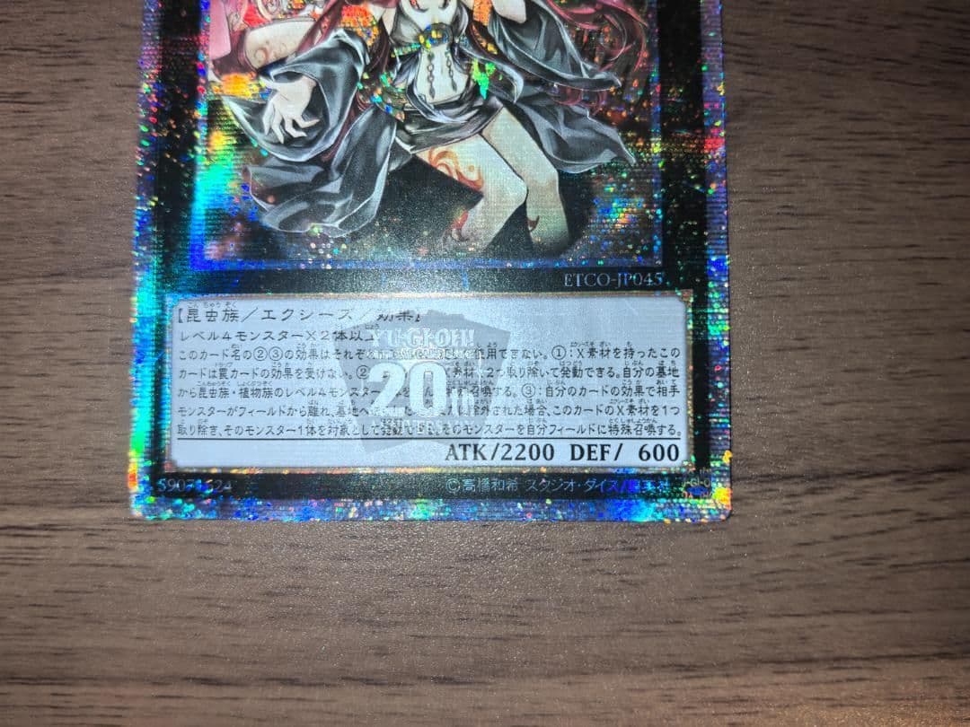 遊戯王 アロメルスの蟲惑魔 20th アジア