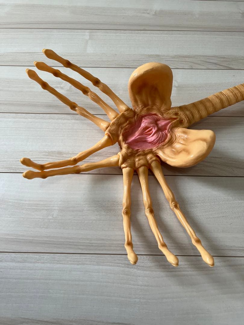 FACEHUGGER 1/1 フェイスハガー ALIEN エイリアン　90s