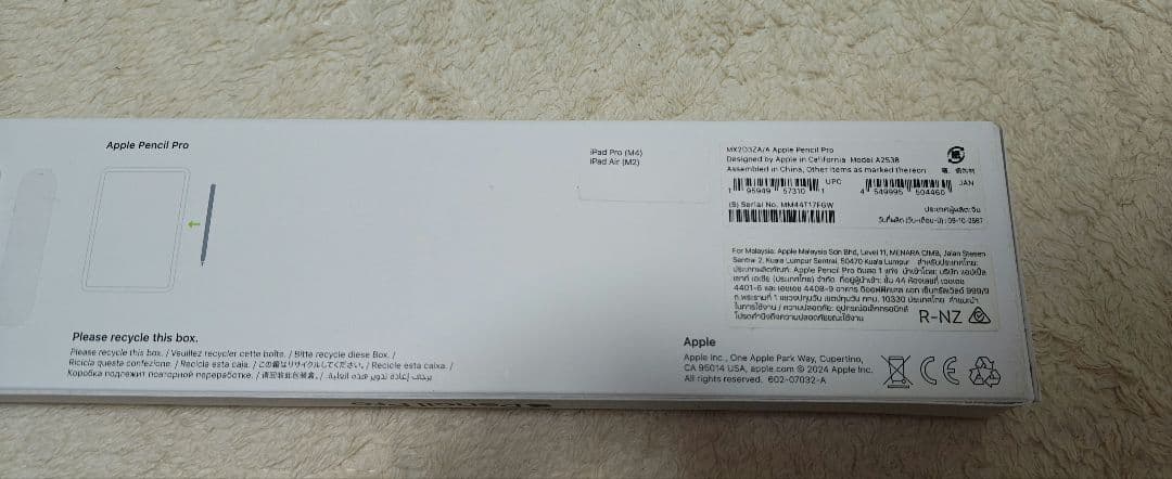 iPad本体 Ipad Pro M4 13 1TB + Apple pencil pro