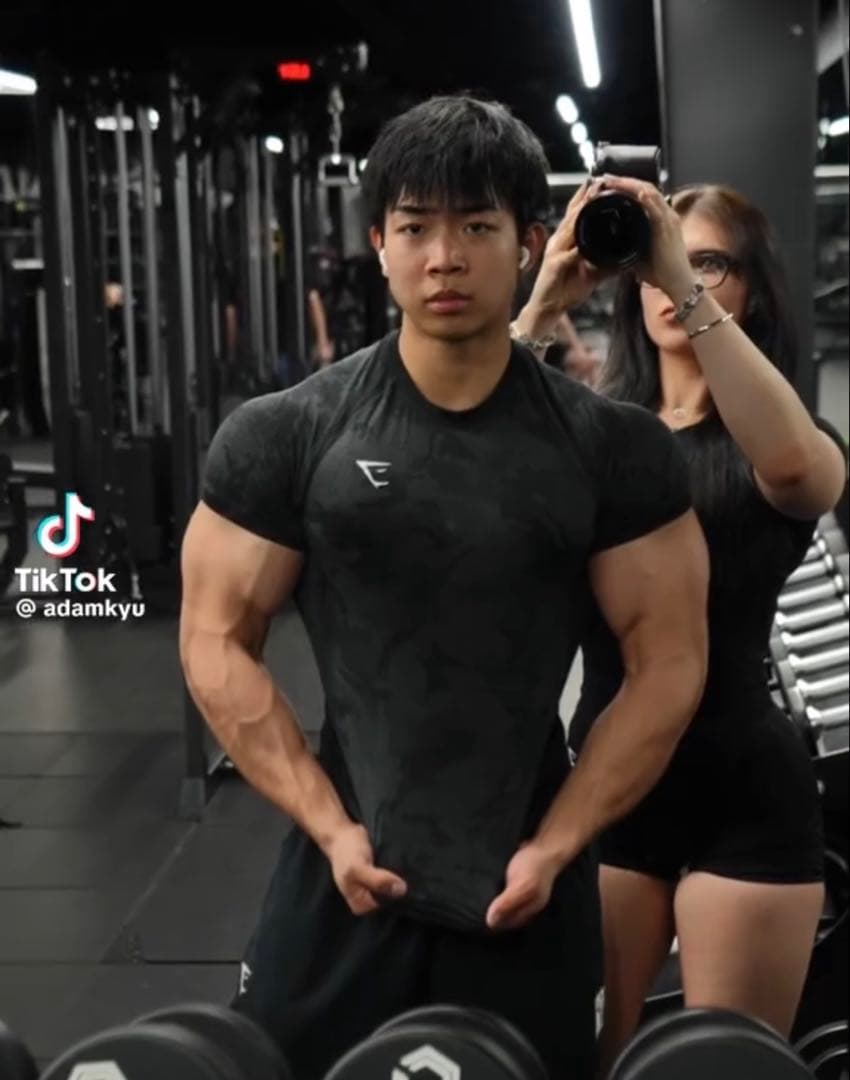 【早い者勝ち】ジムシャーク  コンプレッション