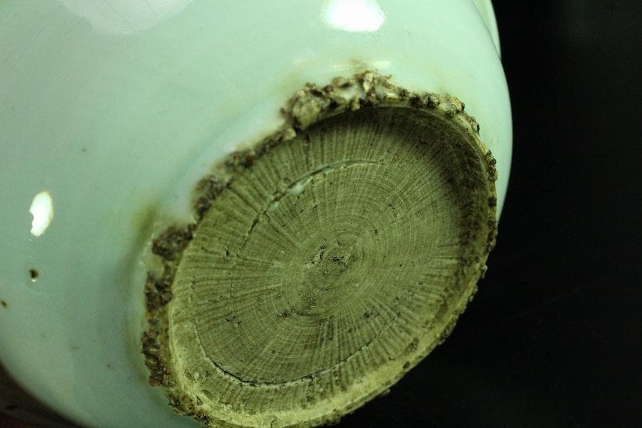 唐物 古染付 青花 青菜紋 皿 十件揃 虫喰い 中国(K-A408)