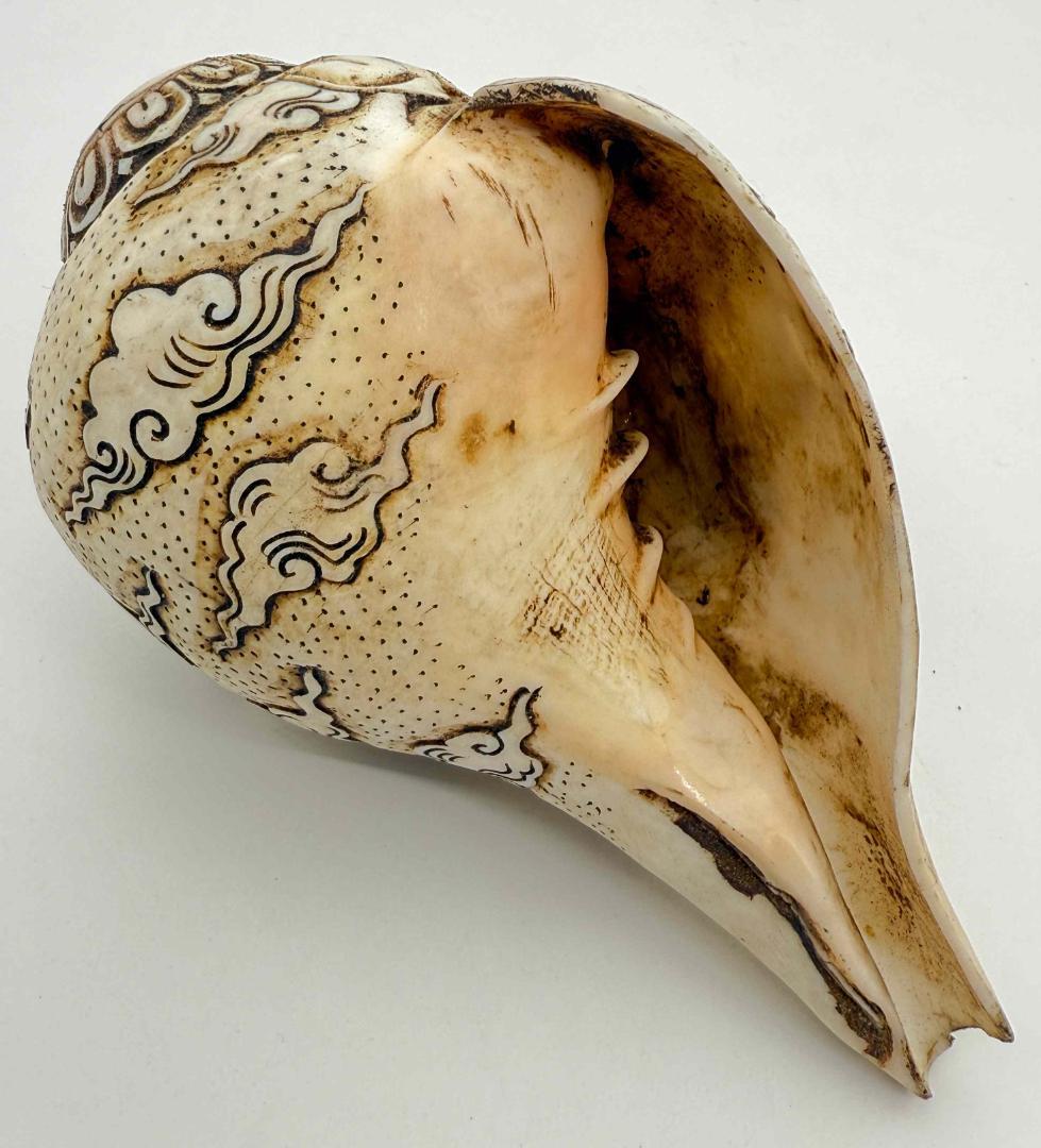 ◆チベット密教法具　法螺貝（シャンカ）・ヴィルーパ-2