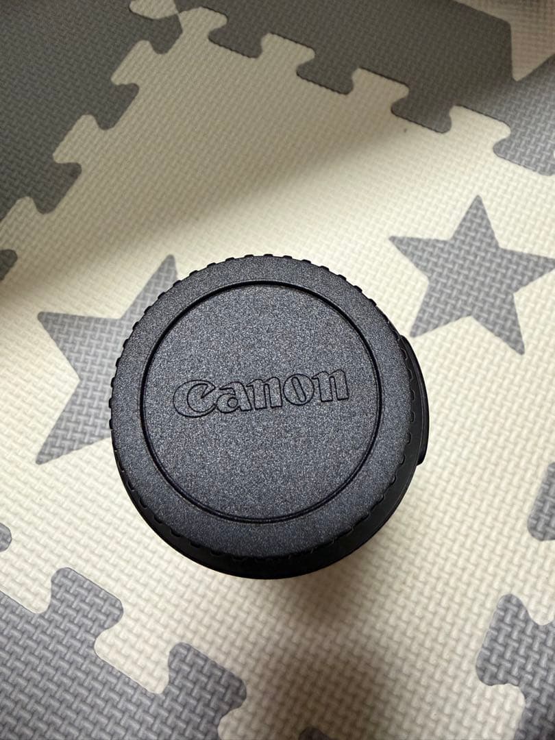 新品未使用 キャノン EF-S55-250mm F4-5.6 IS STM 望遠