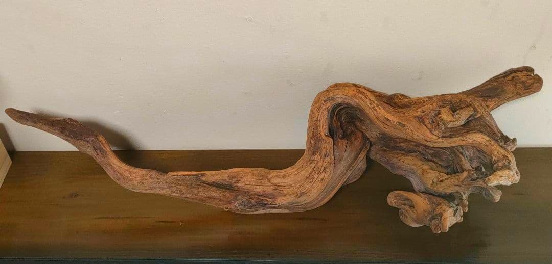 ADA ホーンウッド 流木