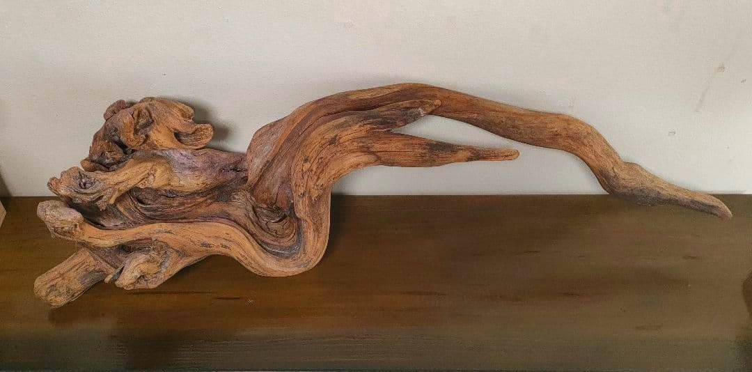 ADA ホーンウッド 流木