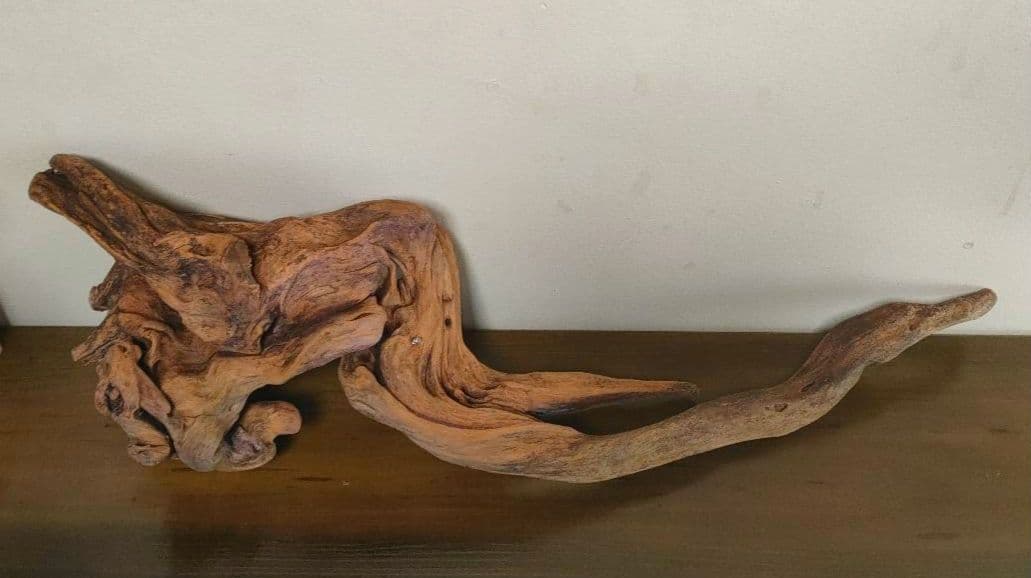 ADA ホーンウッド 流木