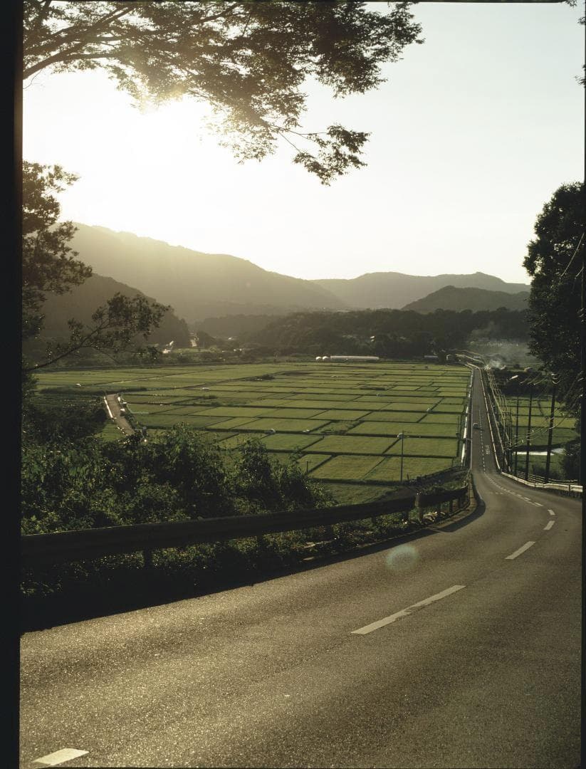 【冷凍保存・5本】Fuji ASTIA 100F 中版 期限2010-1　良品