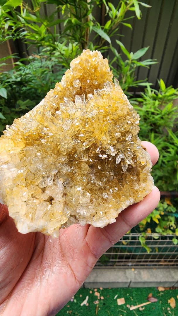 天然鉱石 結晶 透明感のある黄色フラワークォーツクラスター