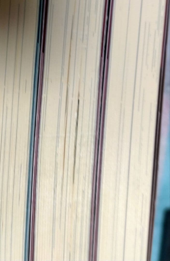 「転生したらスライムだった件 1〜22巻（8.5巻13.5巻含）(既刊全巻」小説