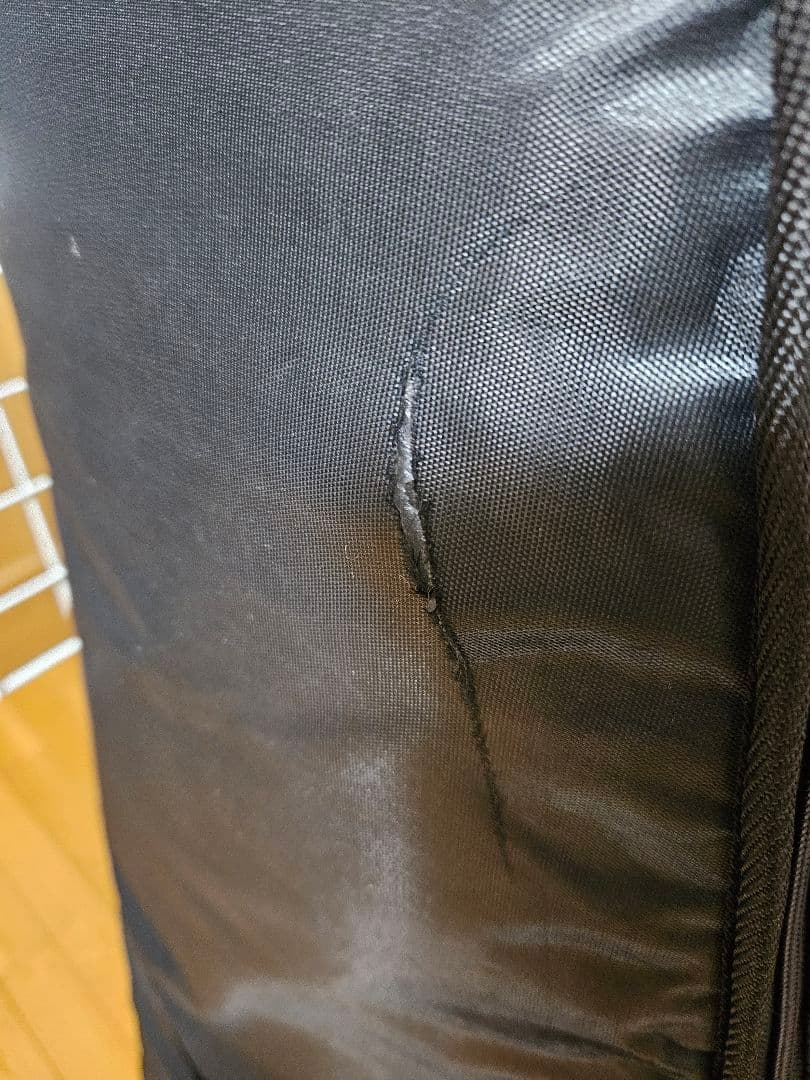 グラスルーツ 猪狩 ギター HEY-SMITH ヘイスミ エクスプローラー