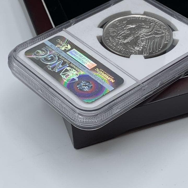 2017　パラジウム イーグル　モダン　NGC MS70ER　　E2