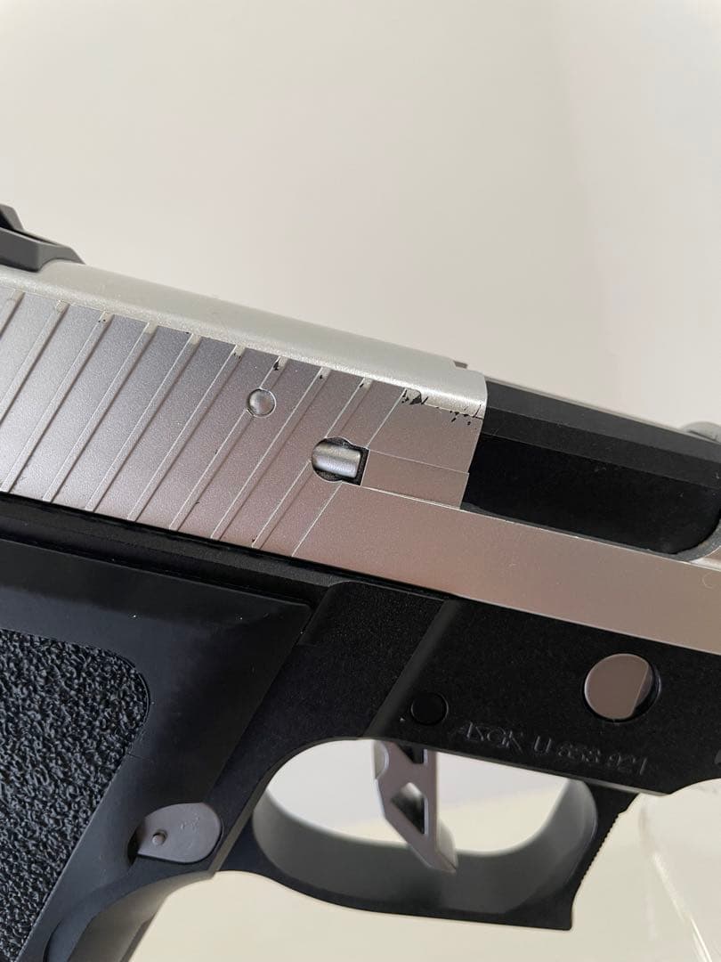 バイオハザード センチネルナイン　レオン　限定