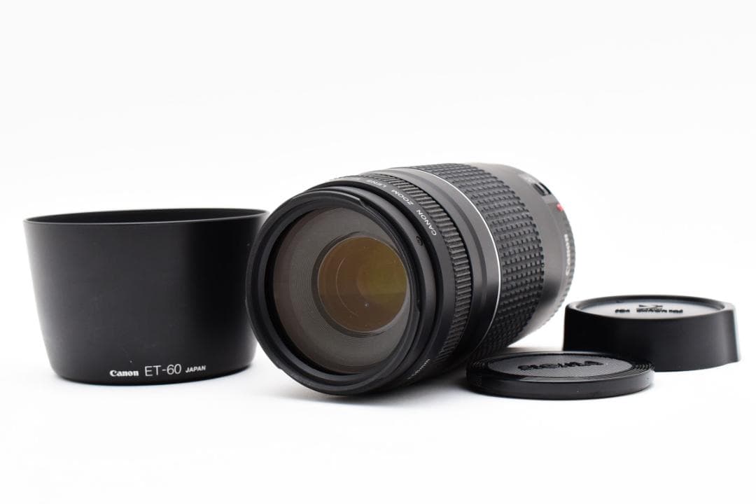 キヤノン Canon EF 75-300mm F4-5.6 III