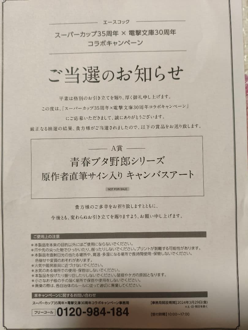 青春ブタ野郎　桜島麻衣　原作者 直筆サイン入りキャンバスアート