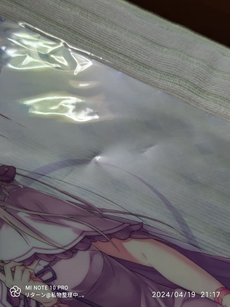 エミリア Emilia s Birthday クリアファイル 大塚真一郎