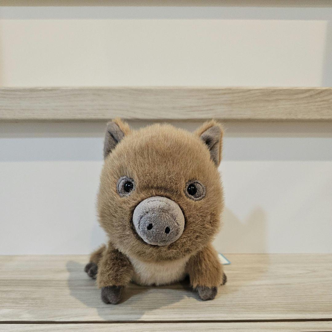 ジェリーキャット イノシシ Swinley Boar