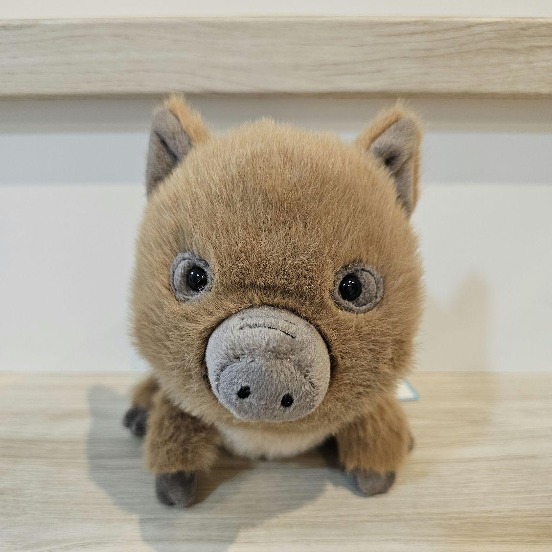 ジェリーキャット イノシシ Swinley Boar