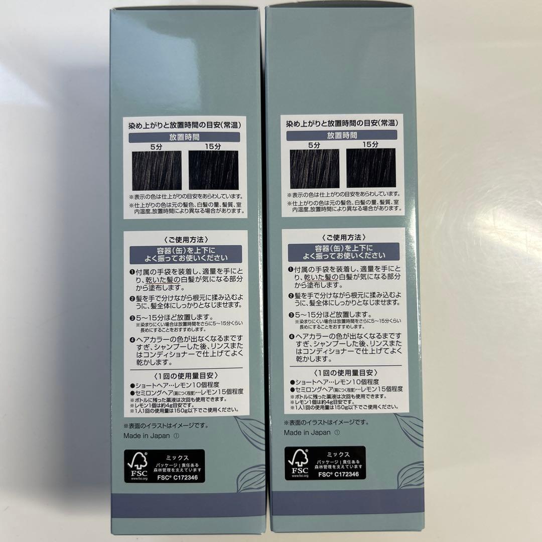 ヘアボーテ エクラ ボタニカルエアカラーフォーム up ナチュラルブラック 2本