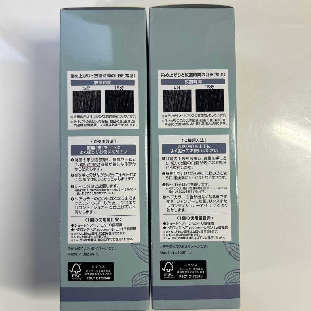 ヘアボーテ エクラ ボタニカルエアカラーフォーム up ナチュラルブラック 2本