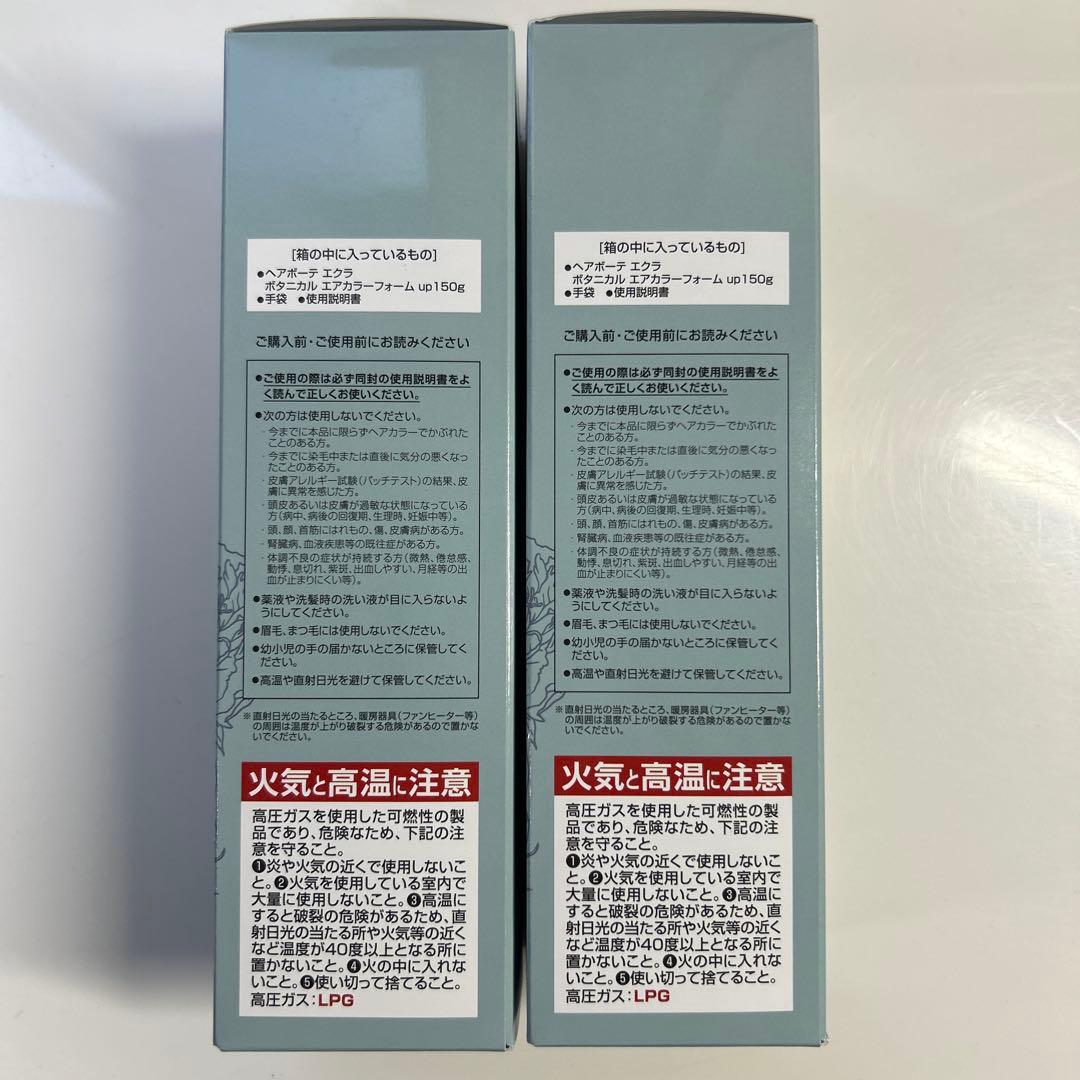 ヘアボーテ エクラ ボタニカルエアカラーフォーム up ナチュラルブラック 2本