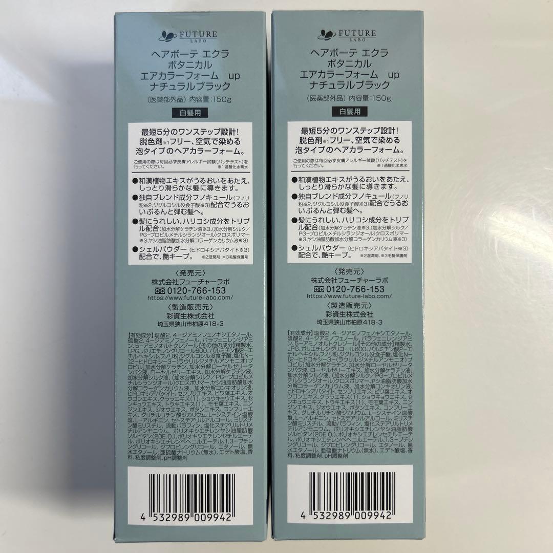 ヘアボーテ エクラ ボタニカルエアカラーフォーム up ナチュラルブラック 2本