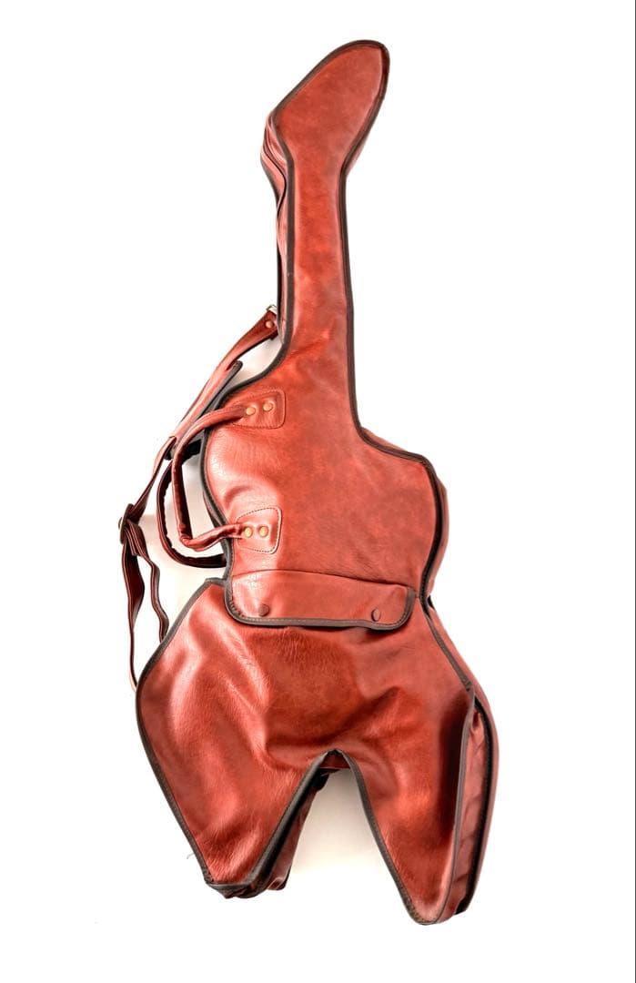 【希少】Custom Warlock カスタム エレキギター