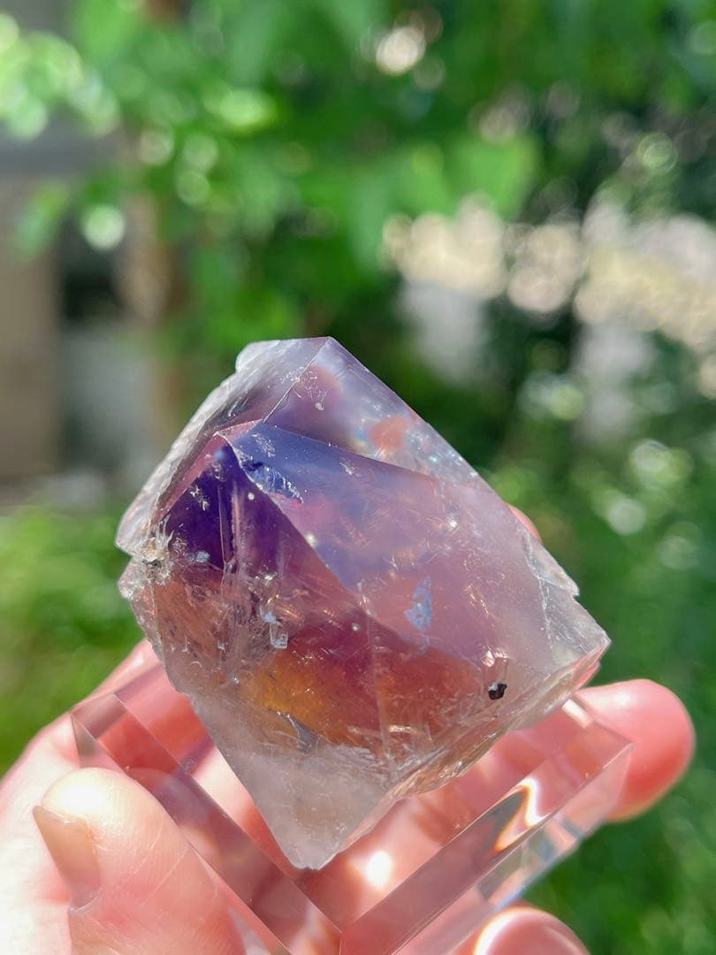 その他 sherry twins pocket