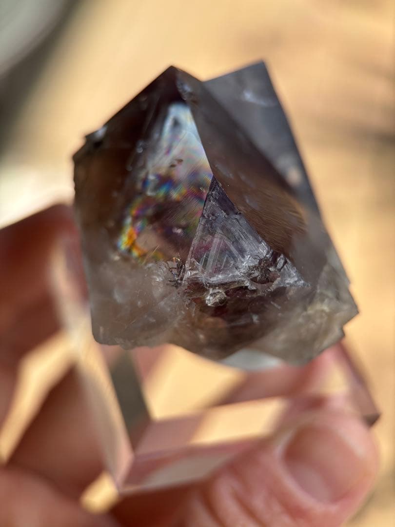 その他 sherry twins pocket