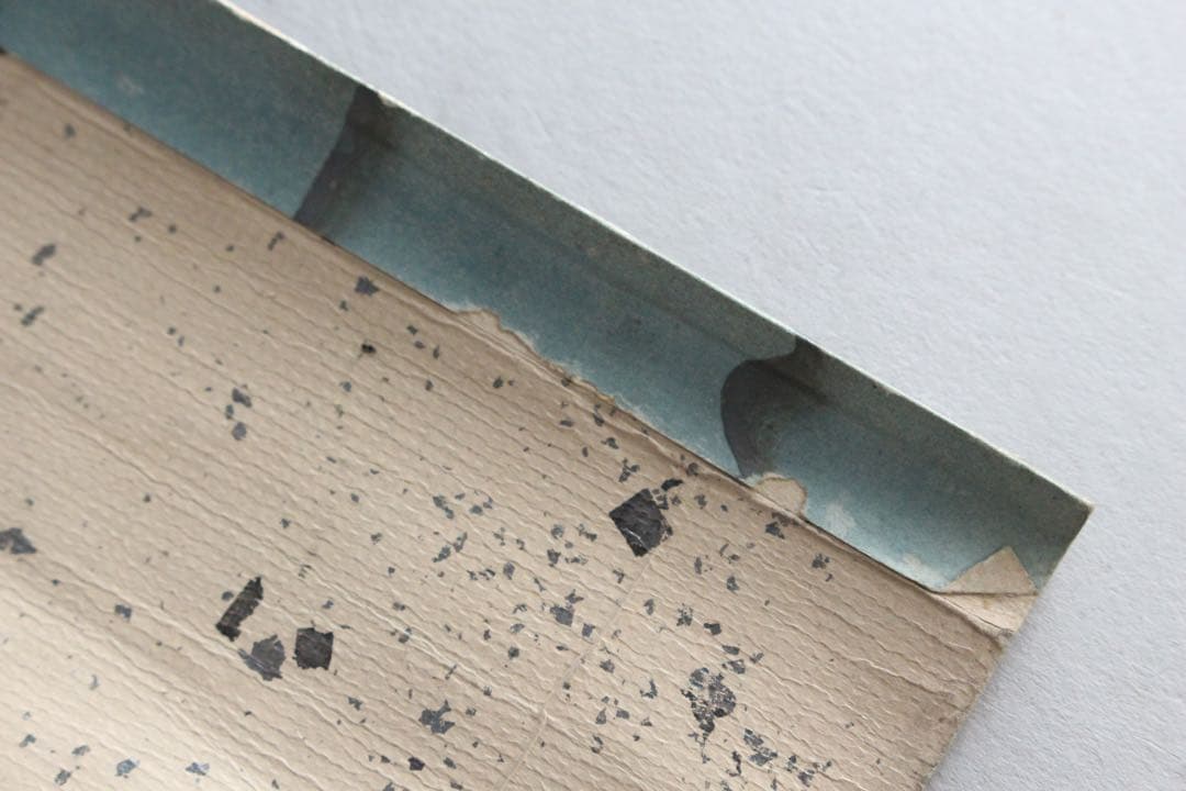 No5206 巻子装　和歌　懐紙　紙本　俳句　古画　書画　巻本　古美術　送料無料